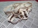 GUMMIRING 200 X 13 X 1.2mm*weiß